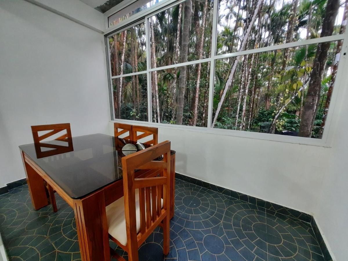 Hosamane Farm Inn Sringeri Kültér fotó