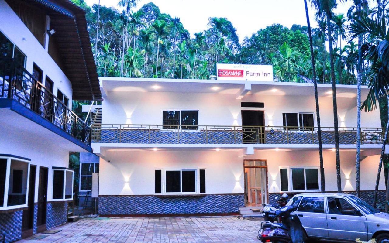 Hosamane Farm Inn Sringeri Kültér fotó