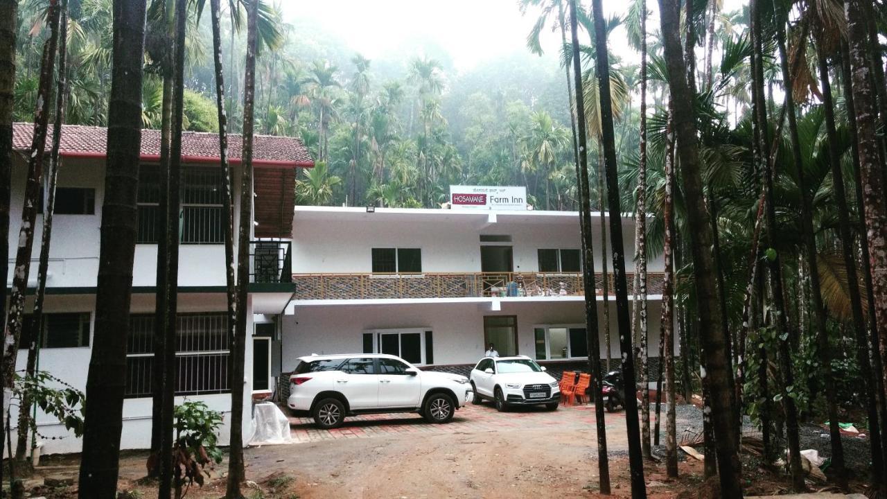 Hosamane Farm Inn Sringeri Kültér fotó