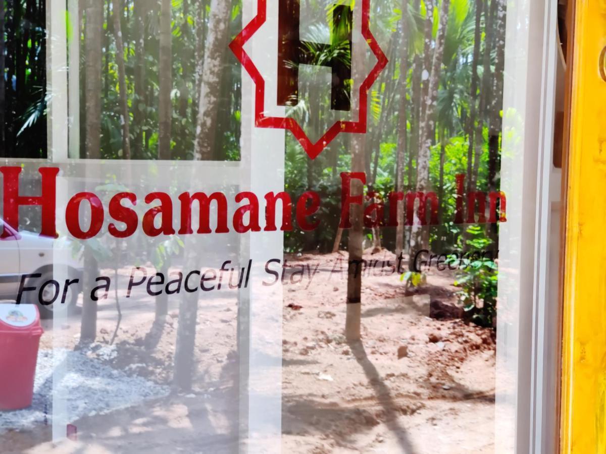 Hosamane Farm Inn Sringeri Kültér fotó