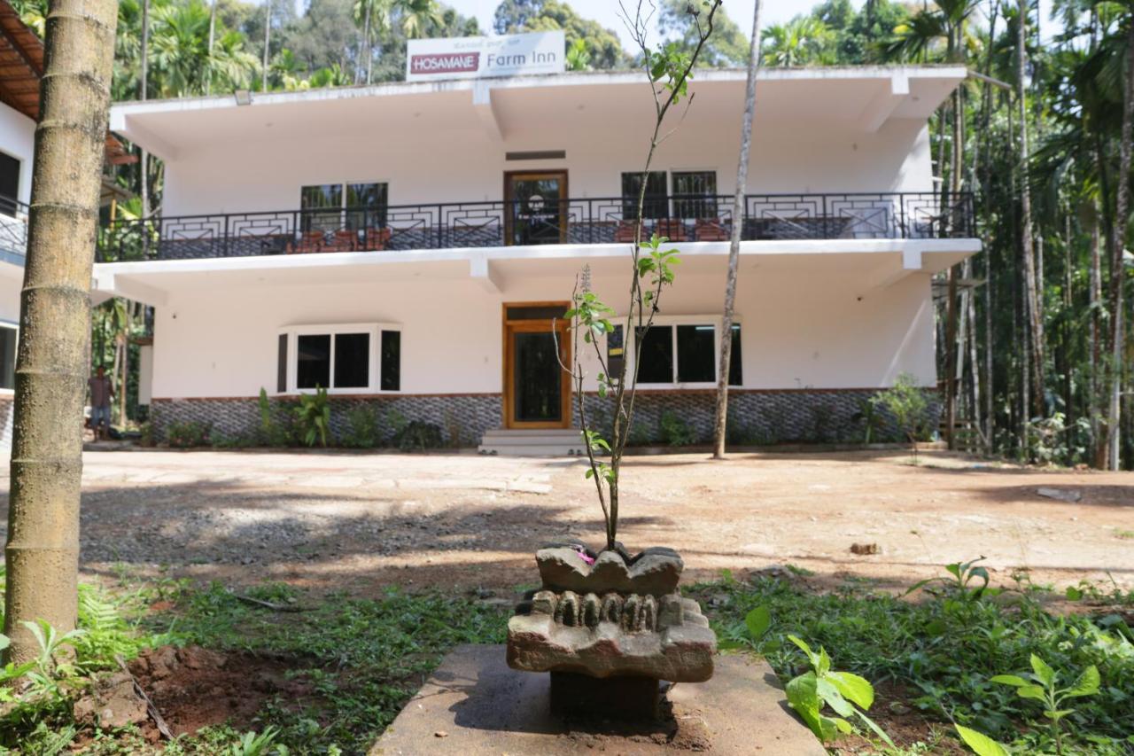 Hosamane Farm Inn Sringeri Kültér fotó